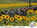 Pro Cycling Manager 2008 � l'essai