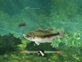 Rapala's Fishing Frenzy est de sortie