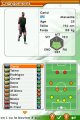 Real Football 2008