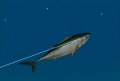E3 09 > Reel Fishing s'exhibe