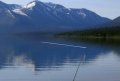E3 09 > Reel Fishing s'exhibe