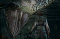Resident Evil Wii : la peur en images