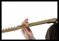 Rock Band : La guitare d�voil�e !