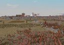 Rome Total War