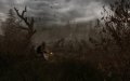 S.T.A.L.K.E.R. : Clear Sky