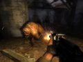 S.T.A.L.K.E.R. : Shadow of Chernobyl