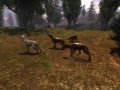5 ans apr�s, S.T.A.L.K.E.R. est gold !