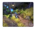 Un max d'images pour Sacred 2