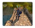 Un max d'images pour Sacred 2