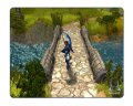 Un max d'images pour Sacred 2