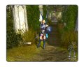 Un max d'images pour Sacred 2