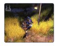Un max d'images pour Sacred 2