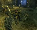 Sacred 2 s'exhibe sur PC et Xbox 360