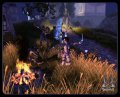 un site fran�ais pour Sacred 2