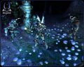 un site fran�ais pour Sacred 2