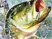 Sega Bass Fishing