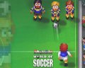 Sensible World of Soccer sur la toile