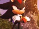 Shadow The Hedgehog