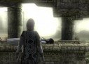 Shadow of The Colossus