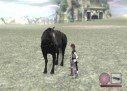Shadow of The Colossus