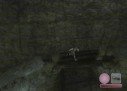 Shadow of The Colossus
