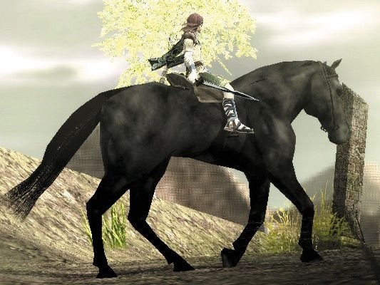 Shadow of The Colossus