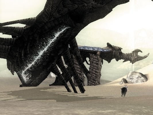 Shadow of The Colossus