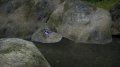 Shiki-Tei : des images pleines de zen