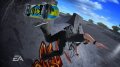 Skate