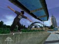 GC 08 > Skate It : nouvelles images