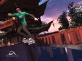 Plus d'images de Skate It