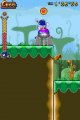 Sonic Rush Adventure