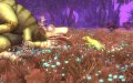 E3 08 > Plus d'images de Spore