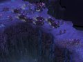 StarCraft II : nouveaux visuels