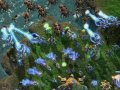 StarCraft II : 4 screens et 27 artworks