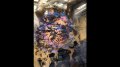 Star Wars : The Force Unleashed exhib�