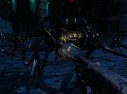 Starship Troopers : le plein d'images
