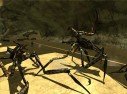 Starship Troopers : le plein d'images
