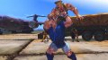 Street Fighter IV : torrent d'images