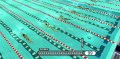 Summer Athletics