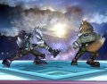 Smash Bros. Brawl : le pacte des loups