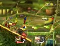 Super Smash Bros. Brawl