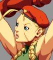 SSF II Turbo HD Remix a du character