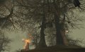 The Chronicles of Spellborn : des images