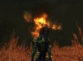 The Chronicles of Spellborn : des images