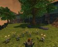 The Chronicles of Spellborn se d�voile