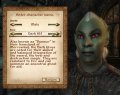The Elder Scrolls IV : Oblivion