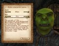 The Elder Scrolls IV : Oblivion