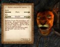 The Elder Scrolls IV : Oblivion