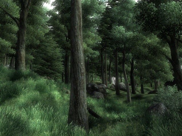 The Elder Scrolls IV : Oblivion